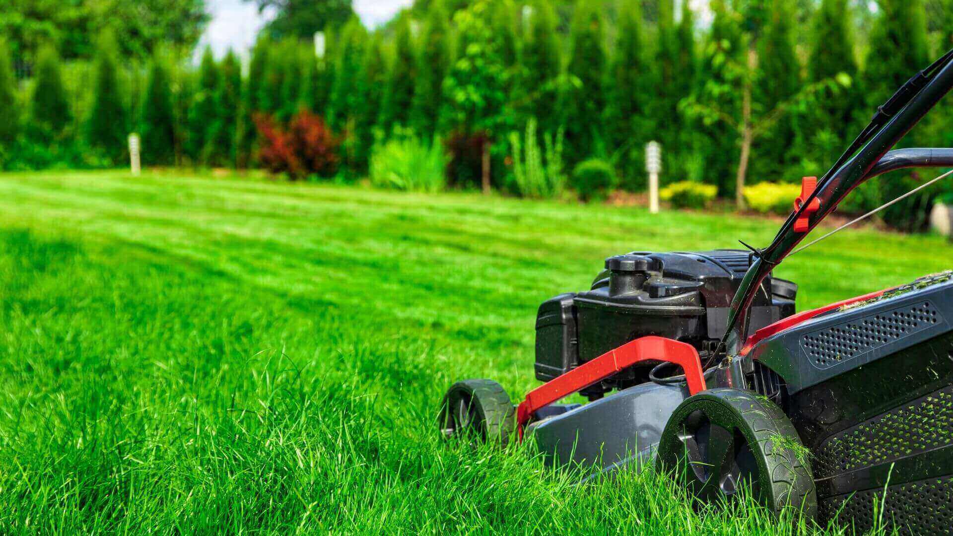 Top Rated Lawn Care Service in Augusta, GA - Get Free Estimate